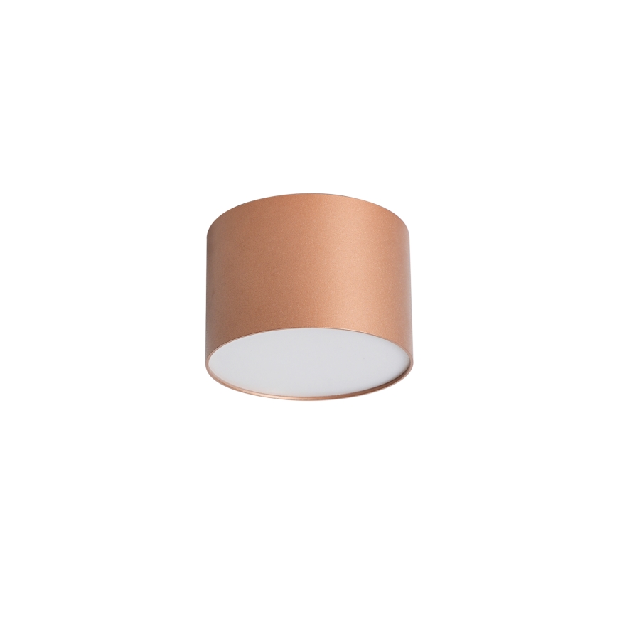 BRILAGI - Vannas istabas griestu lampa FORIS LED/9W/230V Ø 9 cm bronzas krāsas IP44 CRI 90