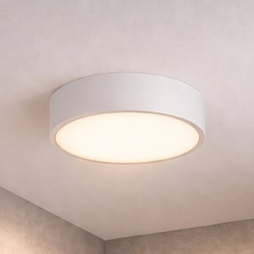 Brilagi - Vannasistabas griestu lampa POOL 3xE27/15W/230V Ø 40 cm IP54 balta