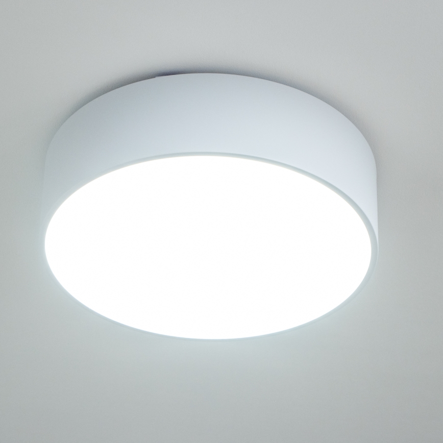BRILAGI - Vannasistabas griestu lampa POOL 3xE27/15W/230V Ø 40 cm IP54 balta