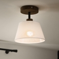 Brilagi - Virsapmetuma lustra ANTHONY 1xE14/60W/230V ozols/balta