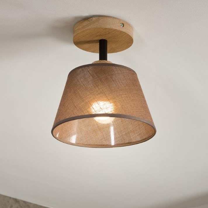 Brilagi - Virsapmetuma lustra ANTHONY 1xE14/60W/230V ozols/brūna