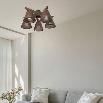 Brilagi - Virsapmetuma lustra ANTHONY 5xE14/40W/230V ozols/brūna
