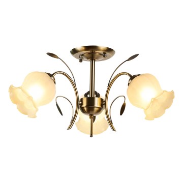 Brilagi - Virsapmetuma lustra FLORA 3xE27/60W/230V bronza