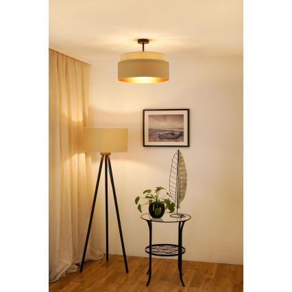 Brilagi - Virsapmetuma lustra OREGON VEGE 1xE27/15W/230V d. 45 cm bēša