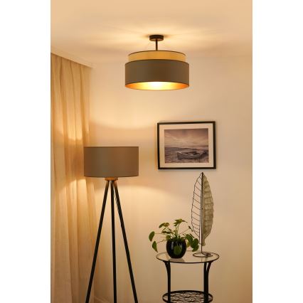 Brilagi - Virsapmetuma lustra OREGON VEGE 1xE27/15W/230V d. 45 cm pelēka