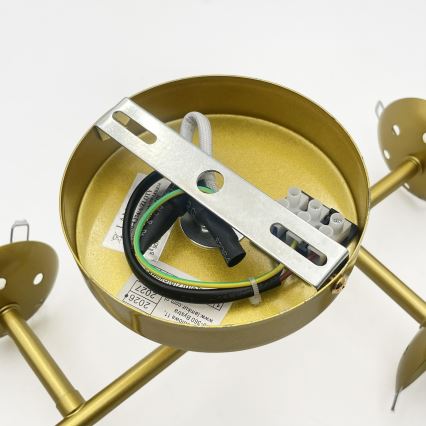 Brilagi - Virsmas griestu lustra MALONY 4xE14/20W/230V zelta