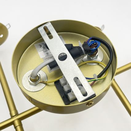 Brilagi - Virsmas montējama griestu lustra MALONY 6xE14/20W/230V zelta krāsas