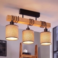 BRILAGI - Virsmas uzstādāma griestu lampa NUBILA 3xE27/60W/230V priede/brūna
