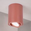 BRILAGI - Virzāmais gaismeklis MIA 1xGU10/30W/230V 100x80 mm brūns