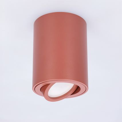 BRILAGI - Virzāmais gaismeklis MIA 1xGU10/30W/230V 100x80 mm brūns