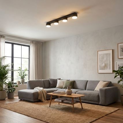 Brilagi - Virziena gaismeklis 4xGX53/12W/230V melns