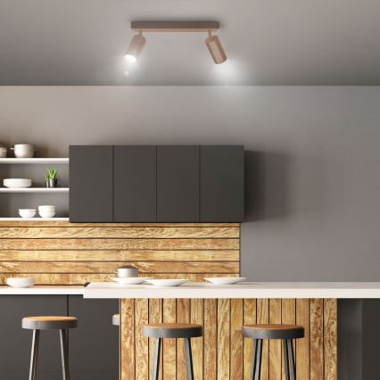 Brilagi - Virziena gaismeklis SELE 2xGU10/30W/230V bēšs