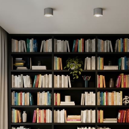 Brilagi - Virziena gaismeklis STRIPY 1xGX53/15W/230V sudraba