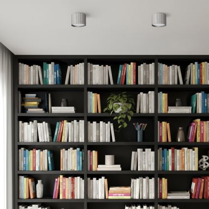 Brilagi - Virziena gaismeklis STRIPY 1xGX53/15W/230V sudraba