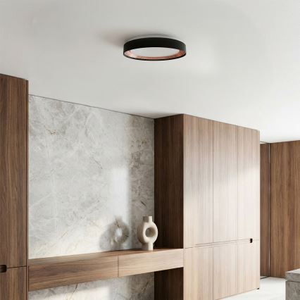 Brilagi - LED dimmējams griestu gaismeklis WALDO LED/48W/230V 3000–6500K Ø 40 cm melns/zelta + tālvadības pults