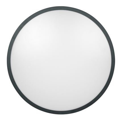 Brilagi - LED vannas istabas griestu lampa ZENNA LED/24W/230V Ø 35 cm IP44 antracīts