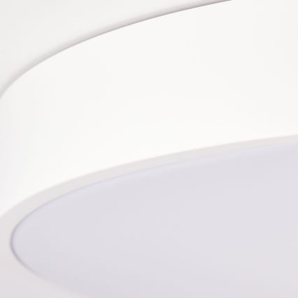 Brilliant - dimmējama LED griestu lampa SLIMLINE LED/60W/230V 3000–6500K, diametrs 49 cm, balta + tālvadība
