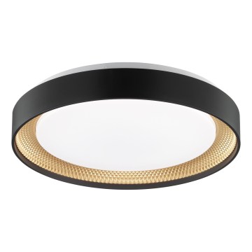 Brilliant - aptumšojams LED griestu gaismeklis WALDO LED/24W/230V 3000-6500K Ø 38,5 cm melna/zelta + ar tālvadības pulti