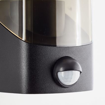 Brilliant - Āra sienas lampa ar sensoru MINOU 1xE27/10W/230V IP44 melna/dūmakains
