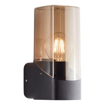 Brilliant - Āra sienas lampa MINOU 1xE27/10W/230V IP44 melna/dūmakains