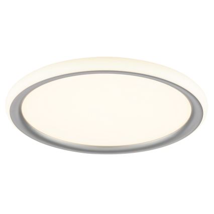 Brilliant - LED ar regulējamu spilgtumu griestu gaismeklis CARLOZ LED/16W/230V Ø 30 cm balta/ pelēka