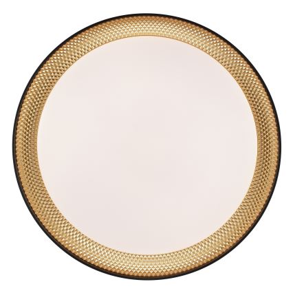 Brilliant - aptumšojams LED griestu gaismeklis WALDO LED/24W/230V 3000-6500K Ø 38,5 cm melna/zelta + ar tālvadības pulti