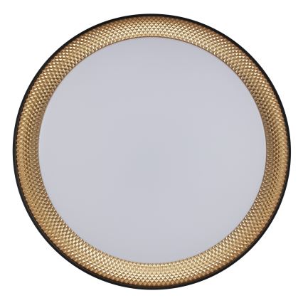 Brilliant - aptumšojams LED griestu gaismeklis WALDO LED/24W/230V 3000-6500K Ø 38,5 cm melna/zelta + ar tālvadības pulti