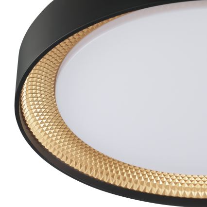 Brilliant - aptumšojams LED griestu gaismeklis WALDO LED/24W/230V 3000-6500K Ø 38,5 cm melna/zelta + ar tālvadības pulti