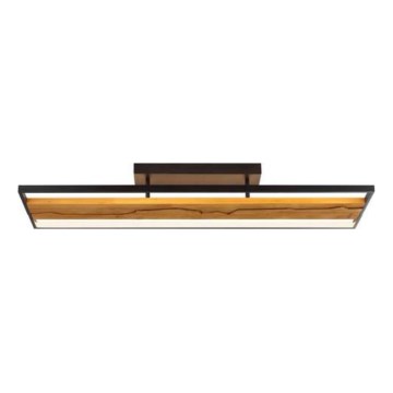 Brilliant - dimmējams LED griestu gaismeklis THUNDER LED/42W/230V priede