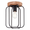 Brilliant - Griestu lampa TOSH 1xE27/40W/230V topols
