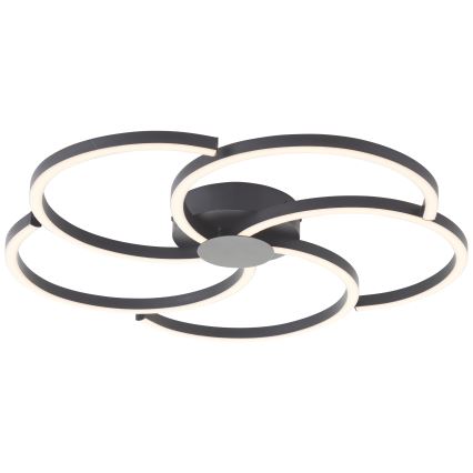 Brilliant - LED Aptumšojama griestu lampa FICO LED/32W/230V d. 57 cm melna