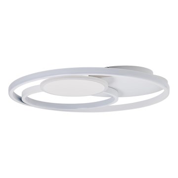 Brilliant - LED Aptumšojama griestu lampa RUNDA LED/50W/230V 3000-6500K balta + tālvadības pults