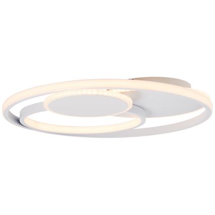 Brilliant - LED Aptumšojama griestu lampa RUNDA LED/50W/230V 3000-6500K balta + tālvadības pults