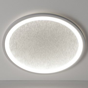 Brilliant - LED Aptumšojama griestu lampa TANIDA LED/31W/230V 3000-6500K + tālvadības pults