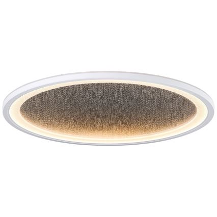 Brilliant - LED Aptumšojama griestu lampa TANIDA LED/31W/230V 3000-6500K + tālvadības pults