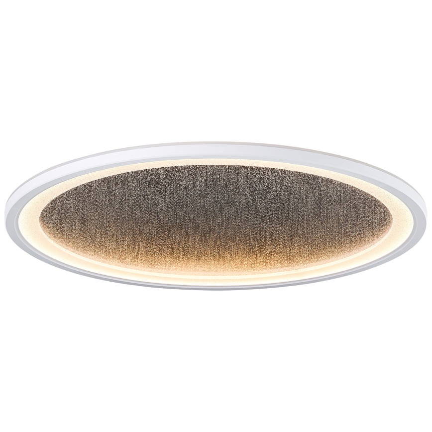 Brilliant - LED Aptumšojama griestu lampa TANIDA LED/31W/230V 3000-6500K + tālvadības pults