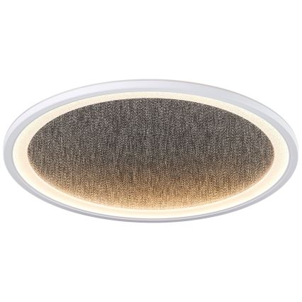 Brilliant - LED Aptumšojama griestu lampa TANIDA LED/31W/230V 3000-6500K + tālvadības pults