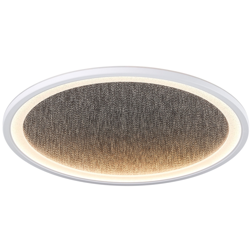 Brilliant - LED Aptumšojama griestu lampa TANIDA LED/31W/230V 3000-6500K + tālvadības pults