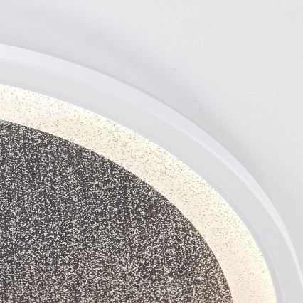 Brilliant - LED Aptumšojama griestu lampa TANIDA LED/31W/230V 3000-6500K + tālvadības pults