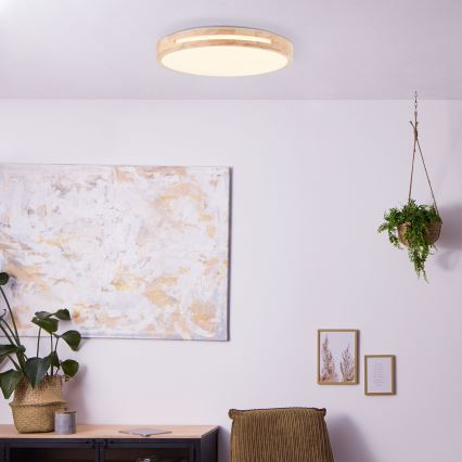 Brilliant - LED Aptumšojama griestu lampa WOODBURY LED/24W/230V d. 39 cm gumijkoks - FSC sertificēts