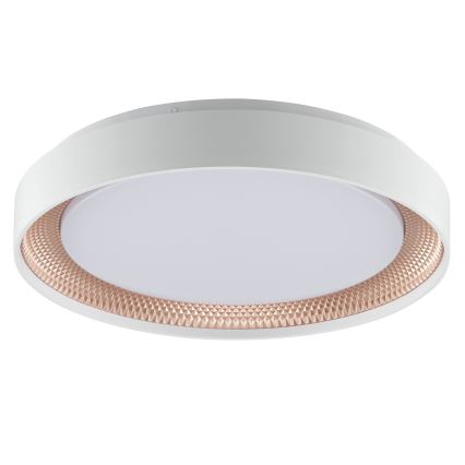 Brilliant - regulējams LED griestu lukturis WALDO LED/24W/230V 3000-6500K Ø 38,5 cm balts/rožu zelts + tālvadības pults