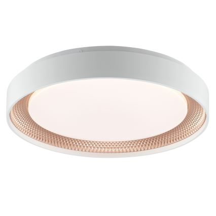 Brilliant - regulējams LED griestu lukturis WALDO LED/24W/230V 3000-6500K Ø 38,5 cm balts/rožu zelts + tālvadības pults