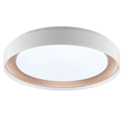 Brilliant - regulējams LED griestu lukturis WALDO LED/24W/230V 3000-6500K Ø 38,5 cm balts/rožu zelts + tālvadības pults