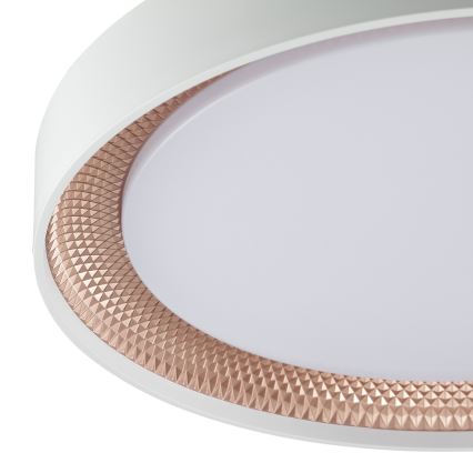 Brilliant - regulējams LED griestu lukturis WALDO LED/24W/230V 3000-6500K Ø 38,5 cm balts/rožu zelts + tālvadības pults