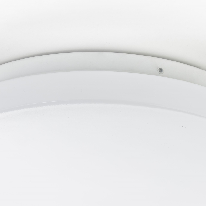 Brilliant - LED griestu gaismeklis FARICA LED/12W/230V Ø 26 cm balts