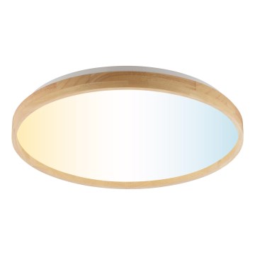 Brilliant - LED griestu lampa ar regulējamu spilgtumu ALSON LED/21W/230V 3000-6500K Ø 49,5 cm kaučuka koks + tālvadības pults