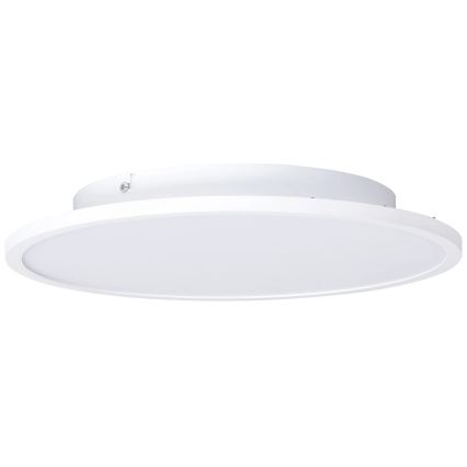 Brilliant - LED Griestu lampa BUFFI LED/24W/230V d. 35 cm 4000K