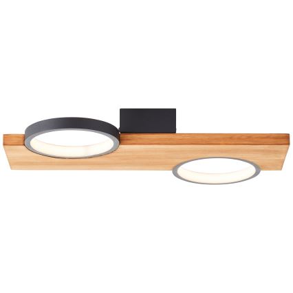 Brilliant - LED Griestu lampa CHEESY LED/14W/230V priede - FSC sertificēts