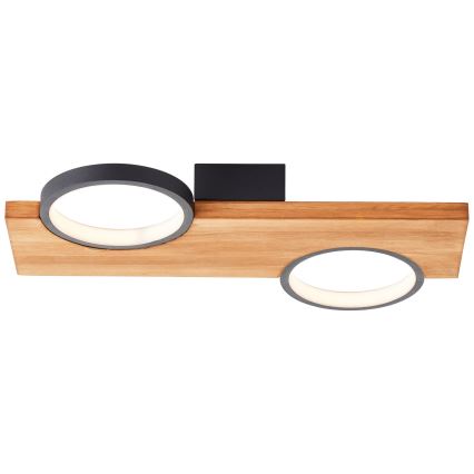 Brilliant - LED Griestu lampa CHEESY LED/14W/230V priede - FSC sertificēts