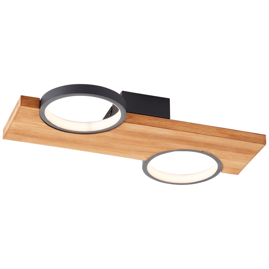 Brilliant - LED Griestu lampa CHEESY LED/14W/230V priede - FSC sertificēts